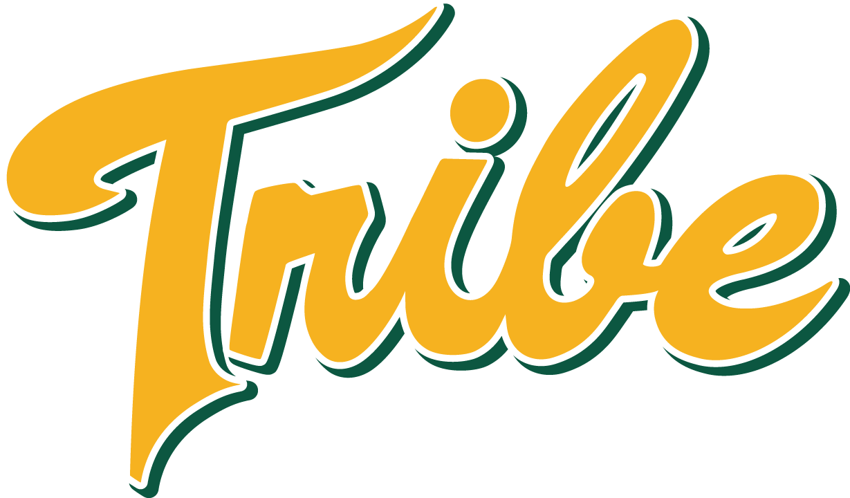 William and Mary Tribe 2016-Pres Alternate Logo diy iron on heat transfer